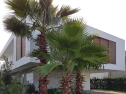 Bosques-Atlantida-L3 n08